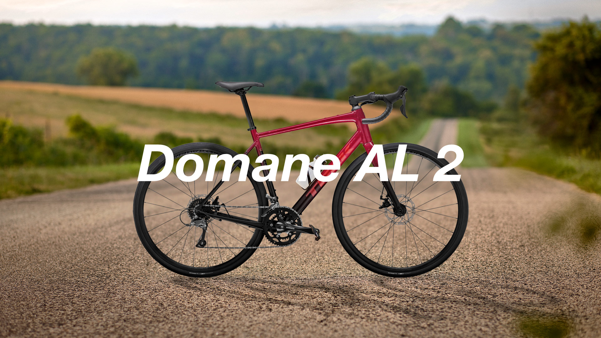 初めてのロードバイクに最適！TREK Domane AL 2を徹底解説 | ブリッジ